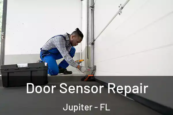 Door Sensor Repair Jupiter - FL