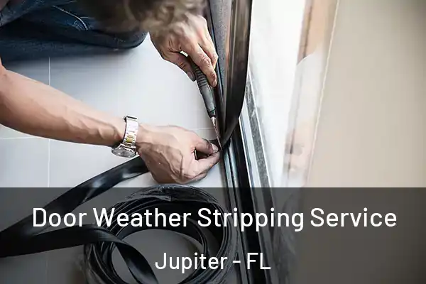 Door Weather Stripping Service Jupiter - FL