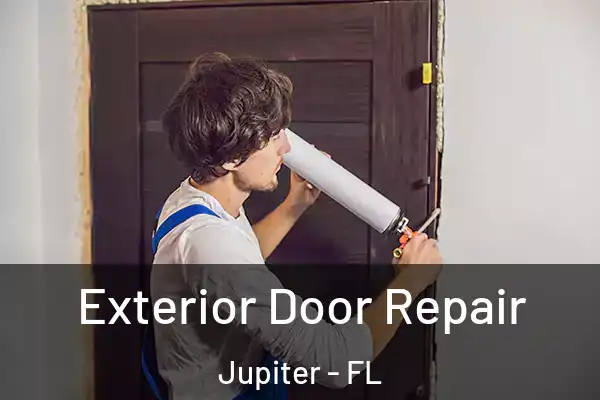 Exterior Door Repair Jupiter - FL