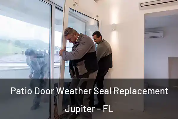 Patio Door Weather Seal Replacement Jupiter - FL